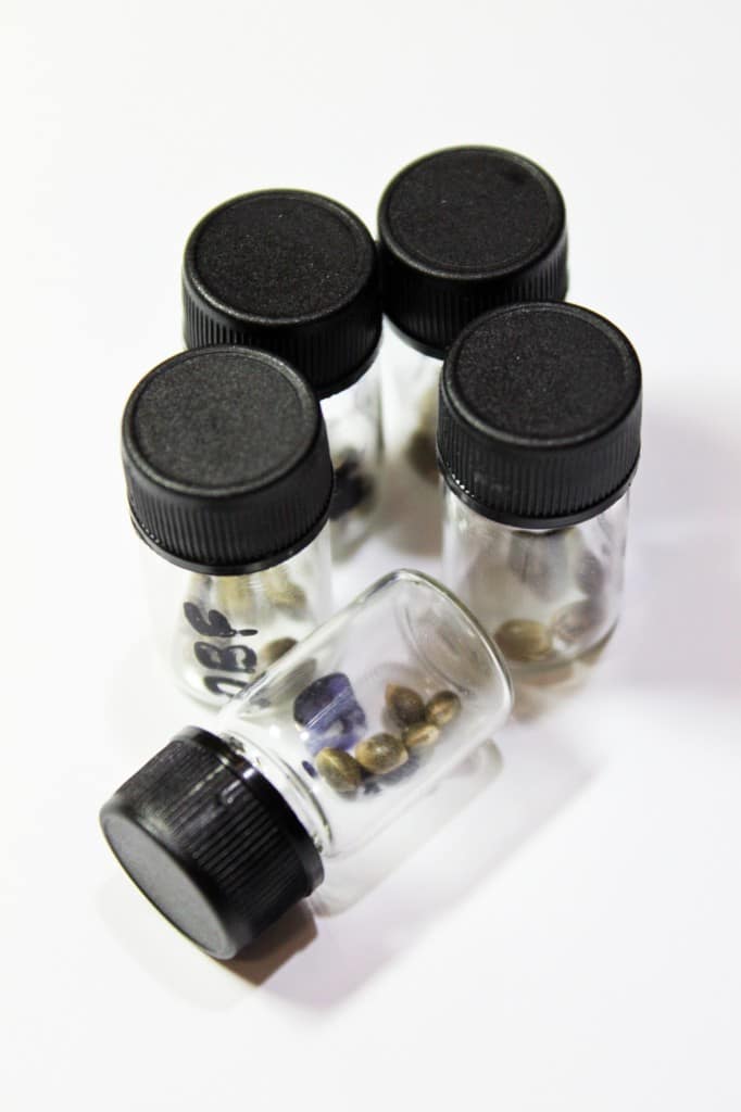ISMOKE Cannabis UK