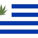 Cannabis Flag of Uruguay ISMOKE Cannabis UK