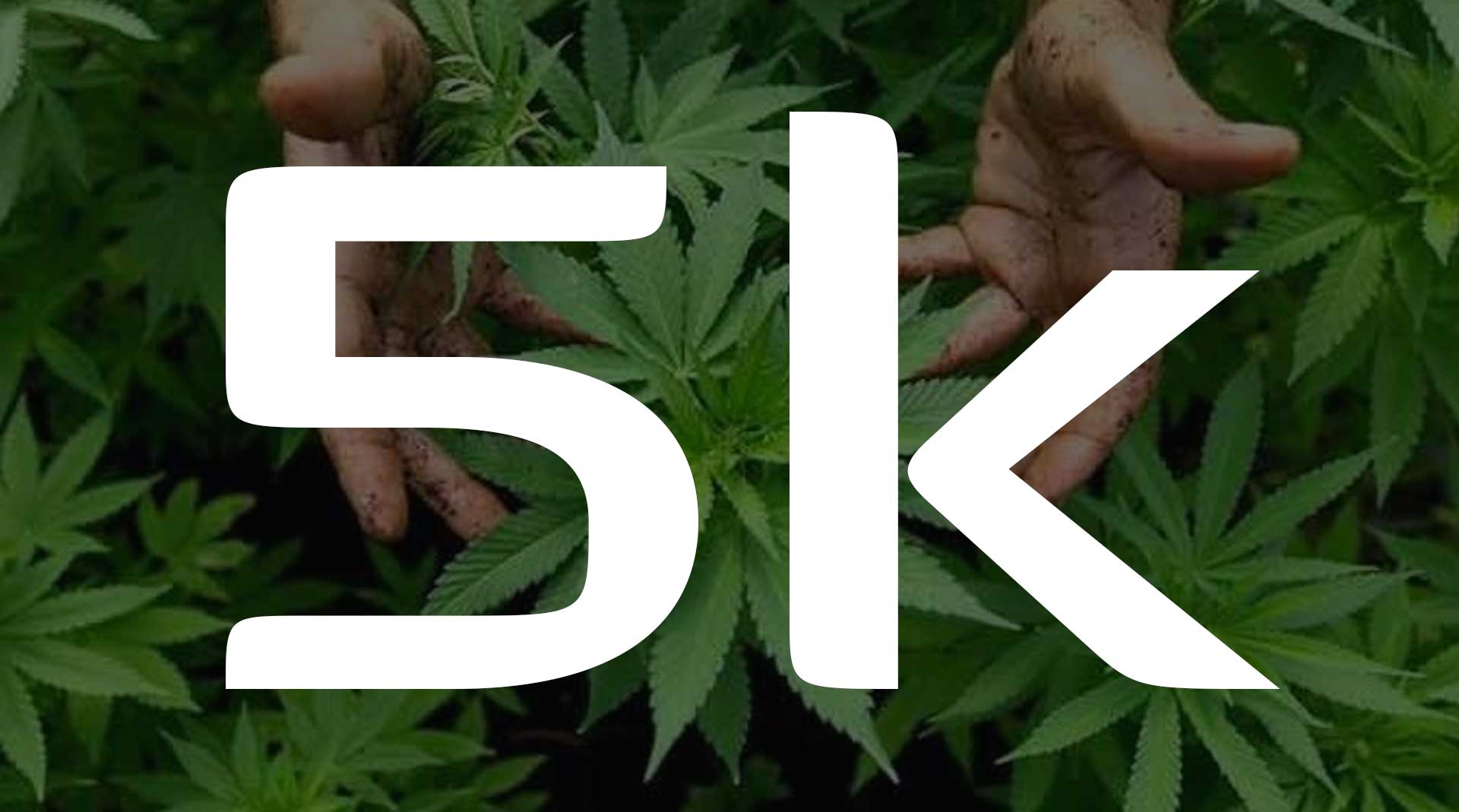 kcover ISMOKE Cannabis UK