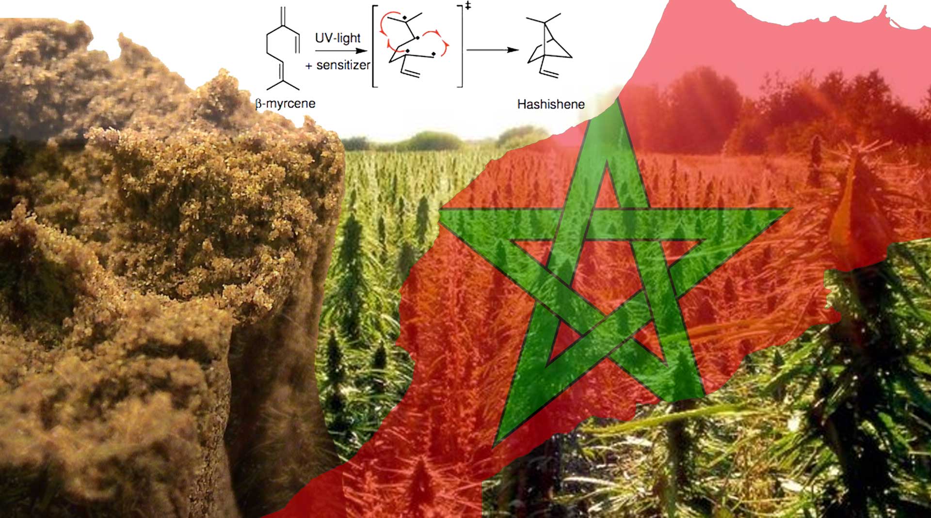 Hashishene ISMOKE Cannabis UK