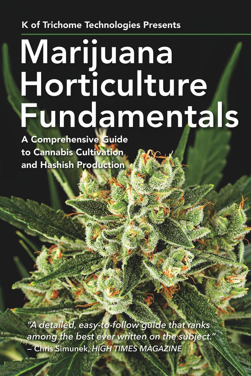 Cannabis Cloning