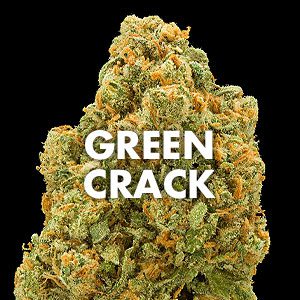 Green Crack