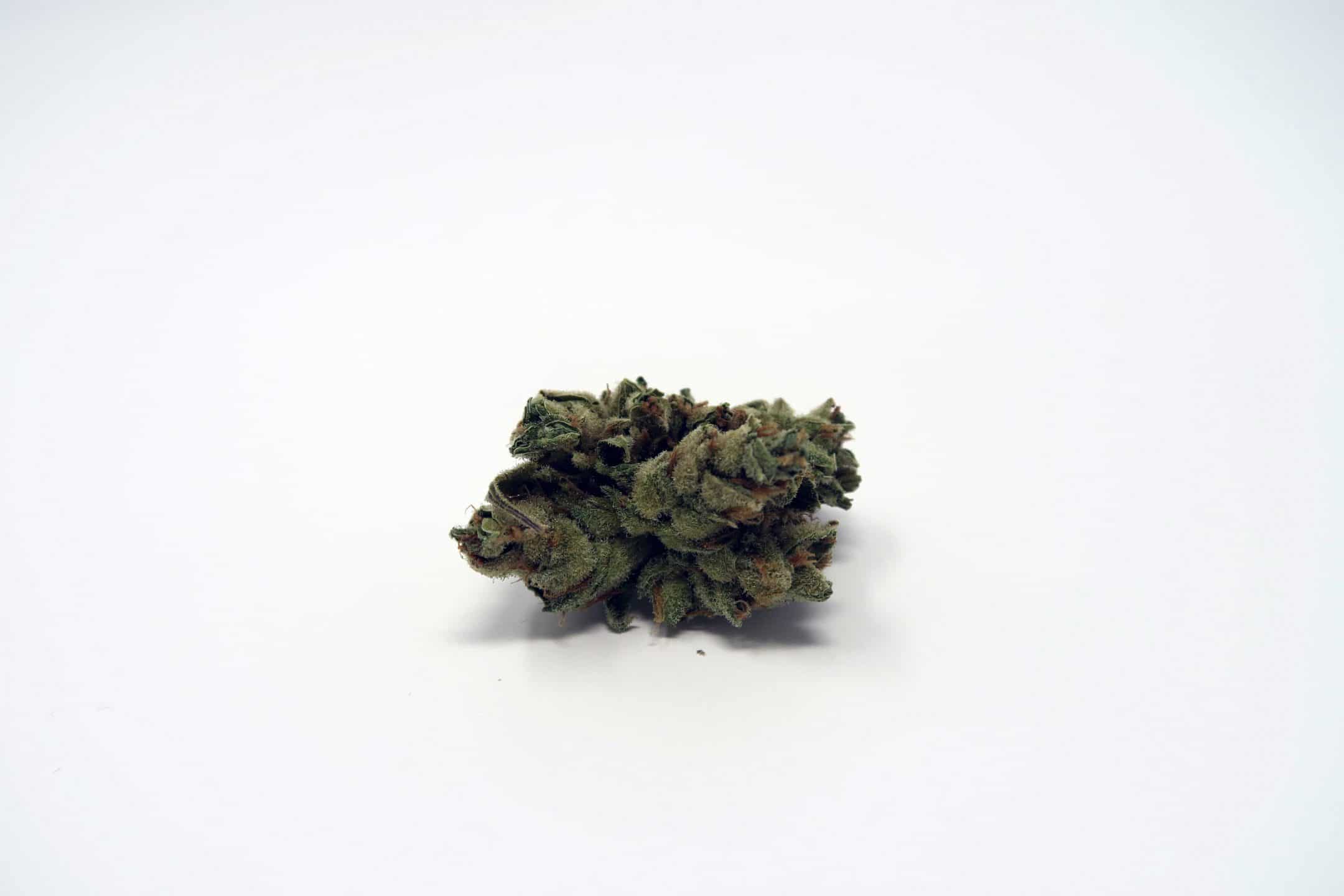 Silver Bubble Strain Image