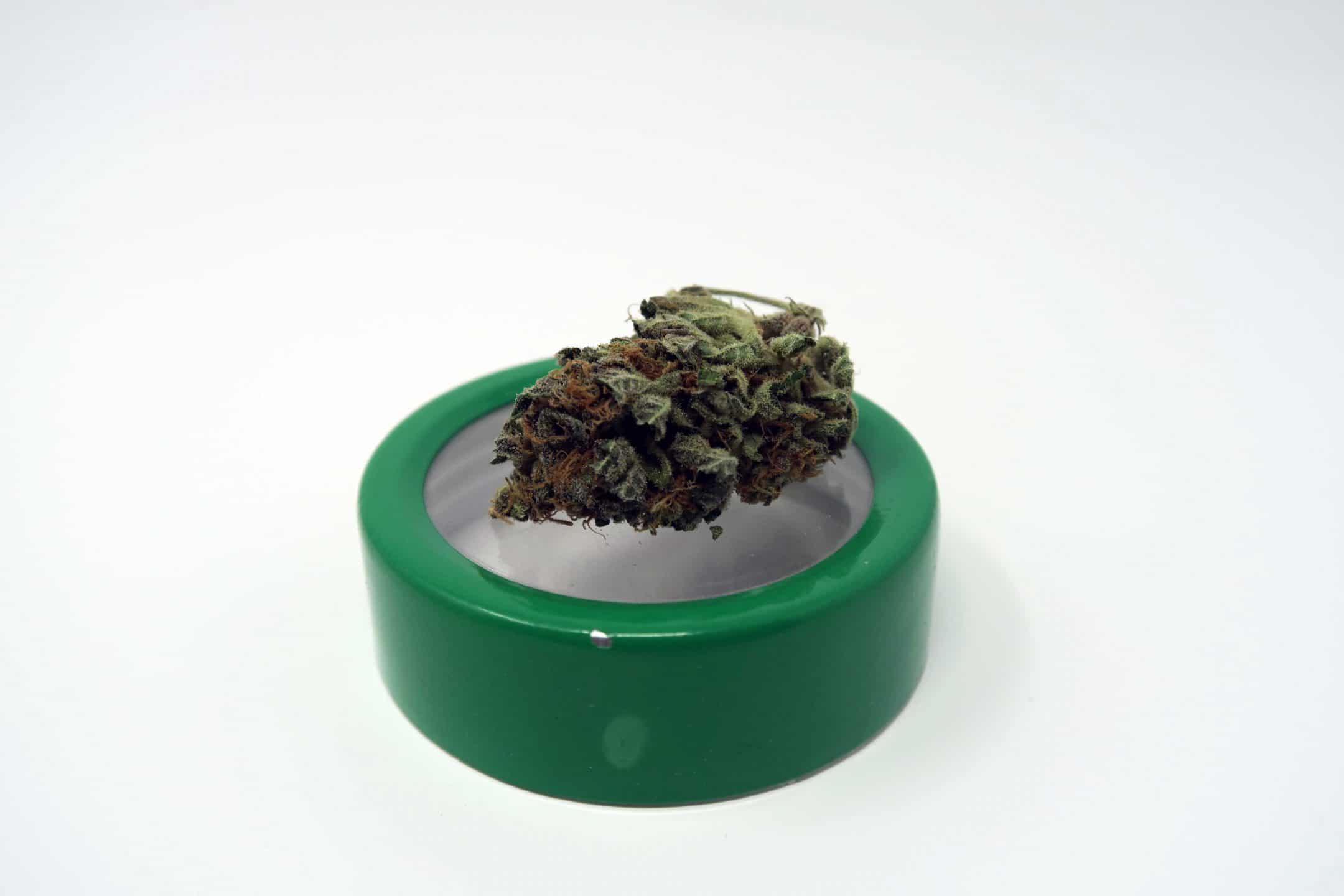 Lavender Strain Image
