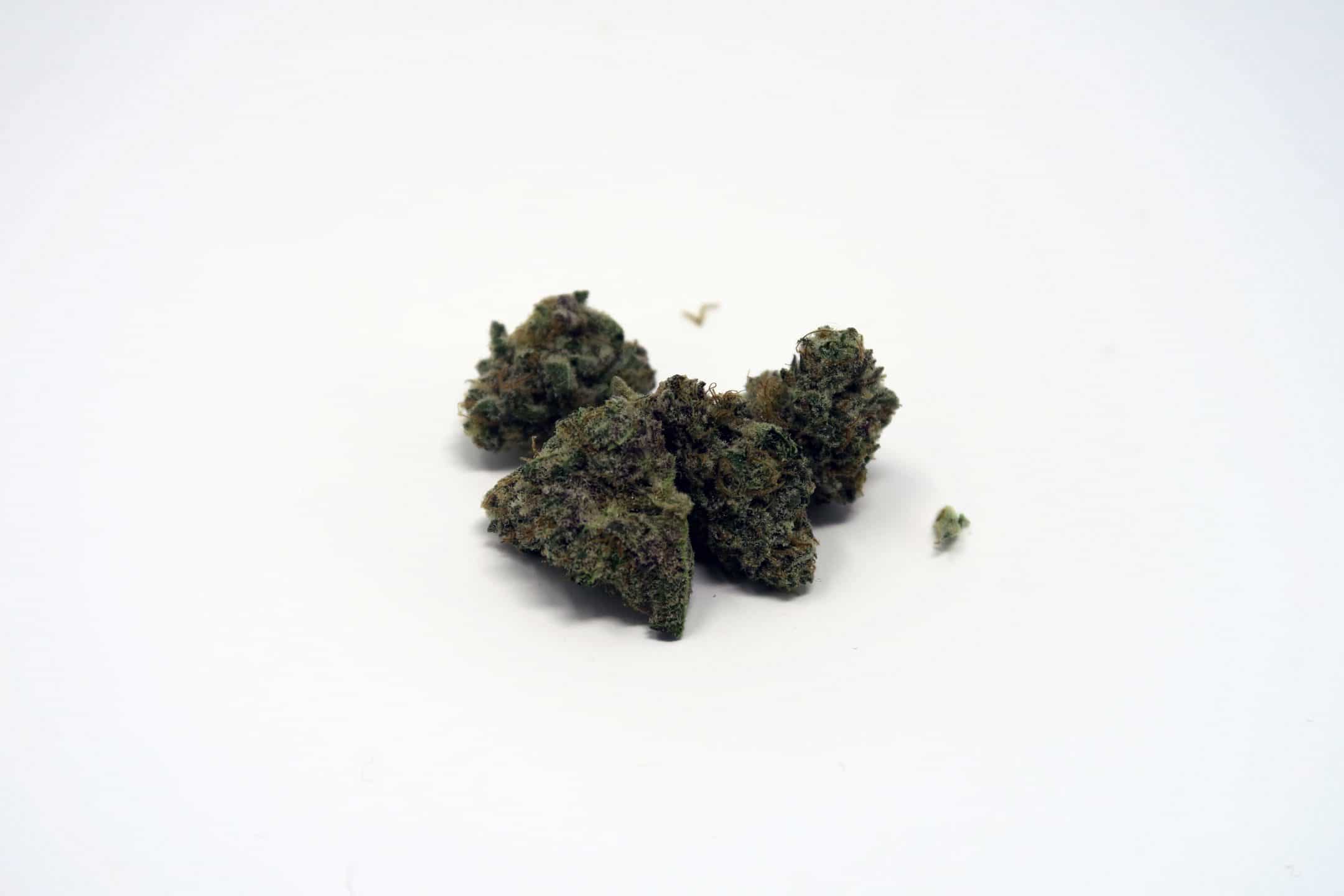 Dolato Strain Image