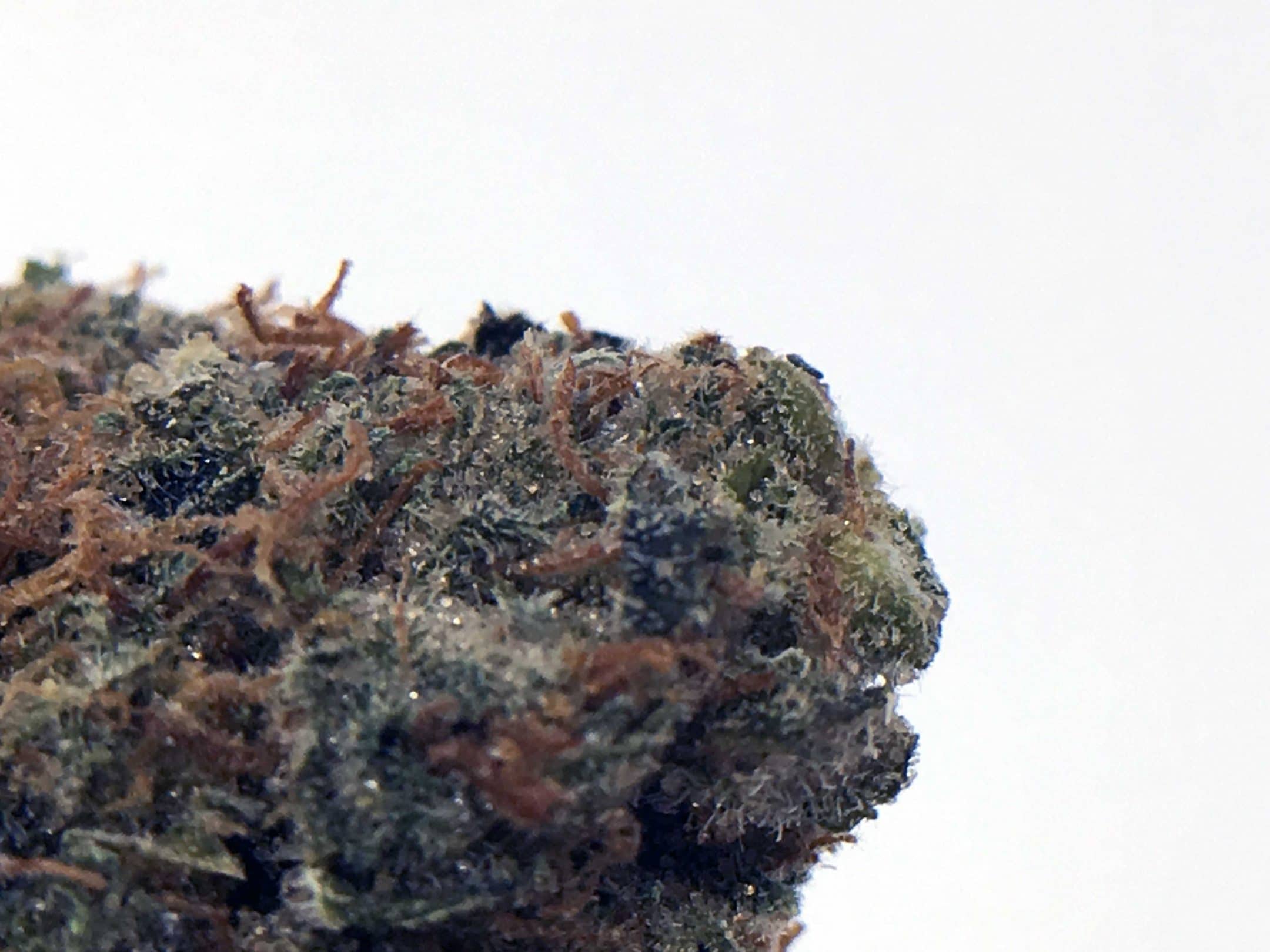 AK-47 Strain Image