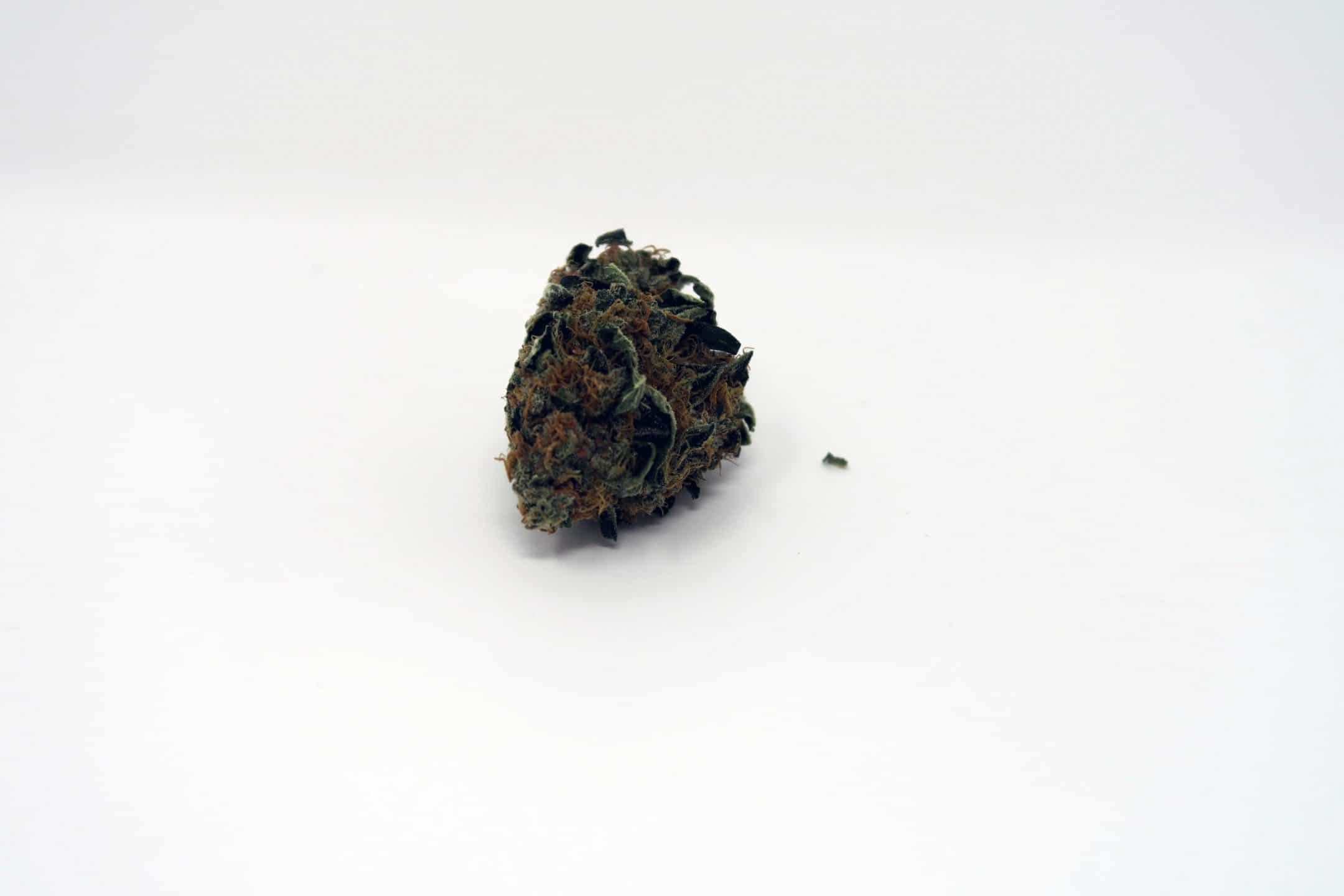Platinum Cookies Strain Image