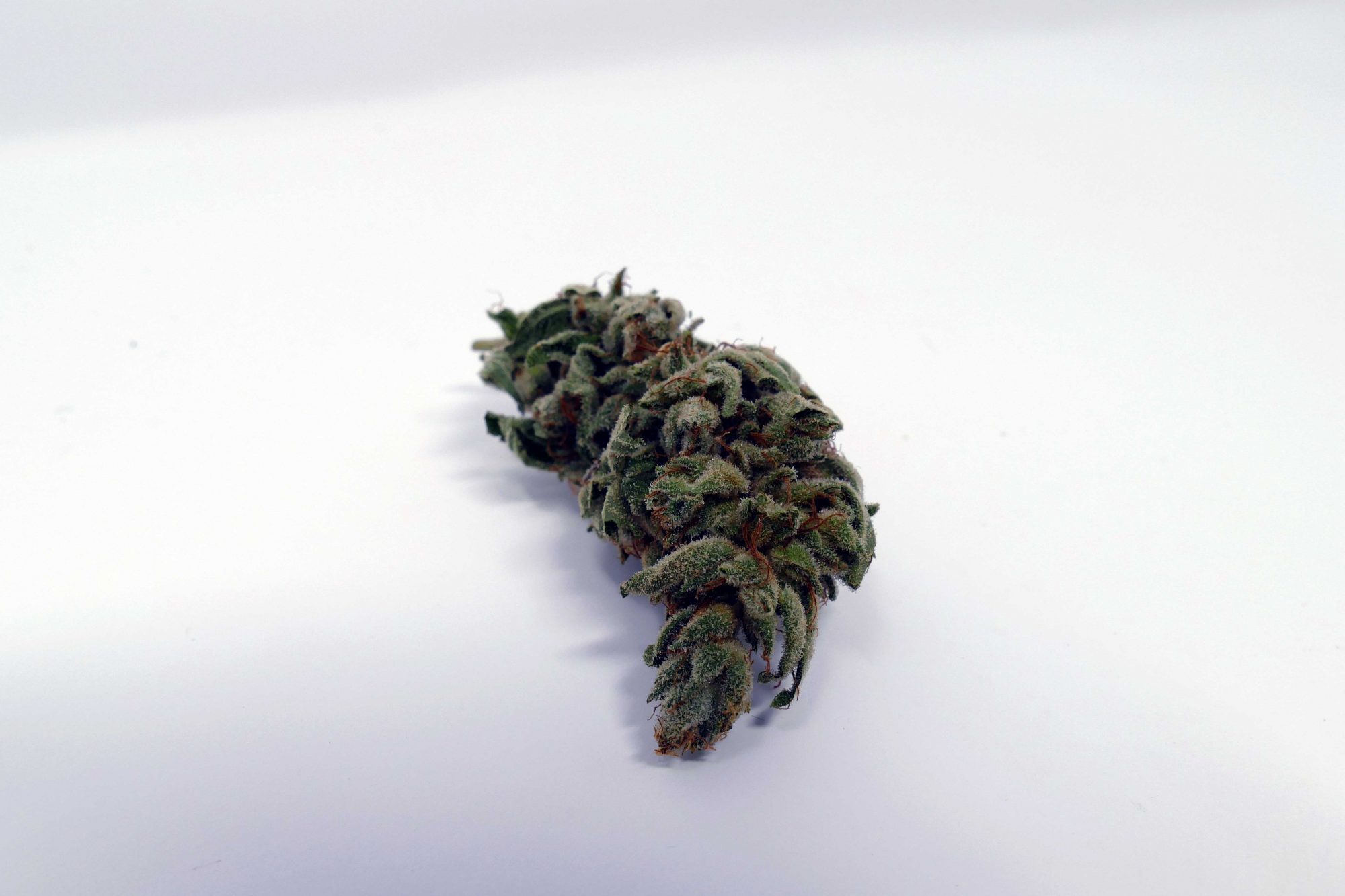 Organic Gorilla Glue #4 - Gorilla Glue Strains 