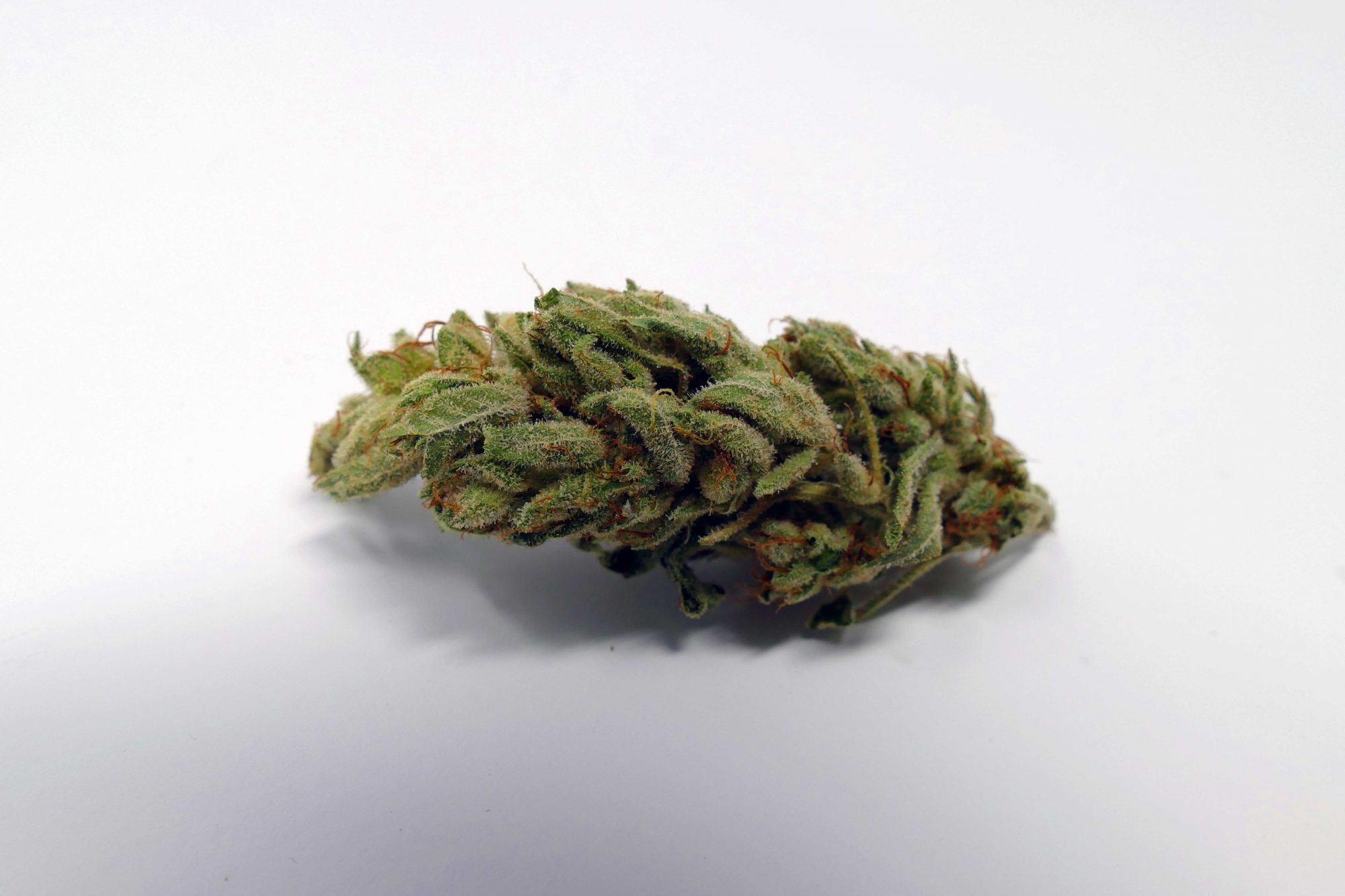Original Glue strain / Gorilla Glue strain / GG4 Strain Image