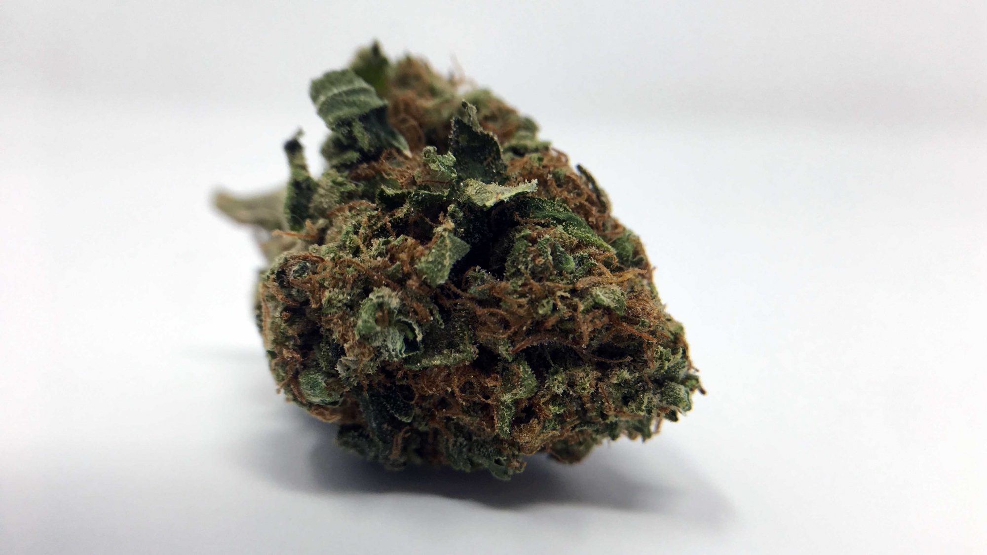 El Chapo OG